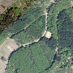 Satellite imagery of Schiffenberg, DE