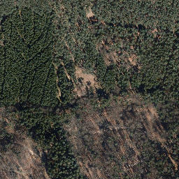 Satellite imagery of Rollberg, DE