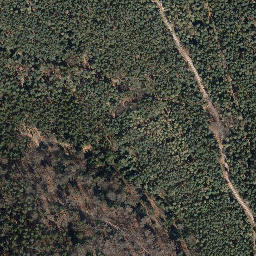 Satellite imagery of Rollberg, DE