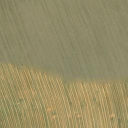 Satellite imagery of survey_point, CZ