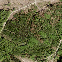 Satellite imagery of Windhahn, DE