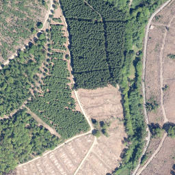Satellite imagery of Schiffenberg, DE