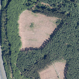 Satellite imagery of Wildenberg, DE