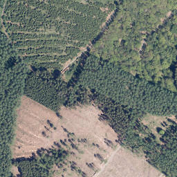 Satellite imagery of Wildenberg, DE