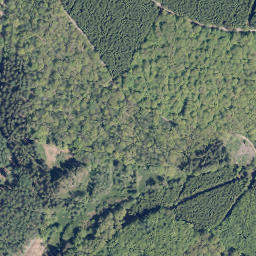 Satellite imagery of Wildenberg, DE