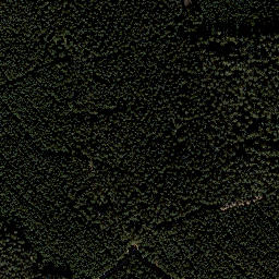 Satellite imagery of Vogelsherdskopf, DE