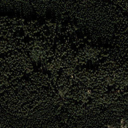 Satellite imagery of Vogelsherdskopf, DE