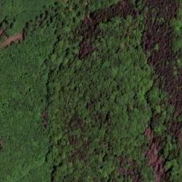 Satellite imagery of Hasenberg, DE