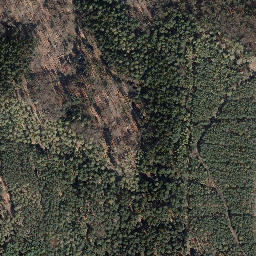 Satellite imagery of Rollberg, DE