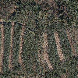 Satellite imagery of Rollberg, DE