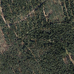 Satellite imagery of Rollberg, DE