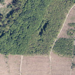 Satellite imagery of Wildenberg, DE