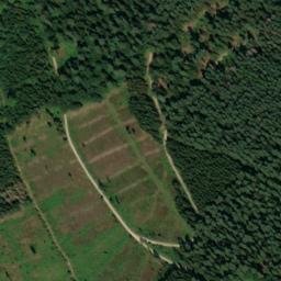 Satellite imagery of Bornkopf, DE