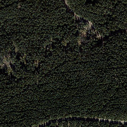 Satellite imagery of Vogelsherdskopf, DE