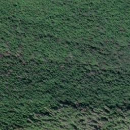 Satellite imagery of Despard Cone, CA