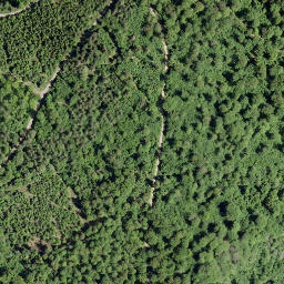 Satellite imagery of Kucksberg, DE