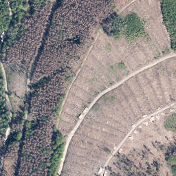 Satellite imagery of Mienberg, DE