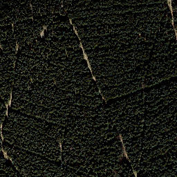 Satellite imagery of Hinterer Höhenberg, DE