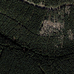 Satellite imagery of Vogelsherdskopf, DE