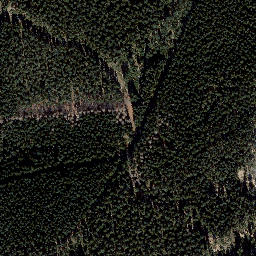 Satellite imagery of Vogelsherdskopf, DE