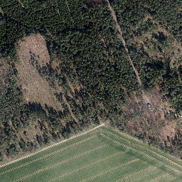 Satellite imagery of Heidenberg, DE