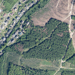 Satellite imagery of Mienberg, DE