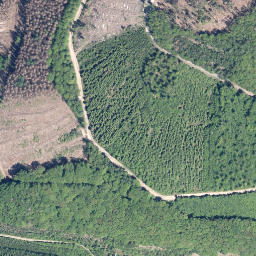 Satellite imagery of Mienberg, DE