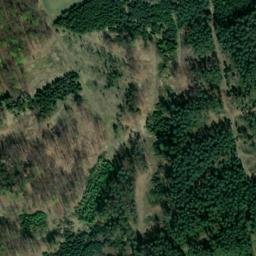 Satellite imagery of Bechtelsberg, DE
