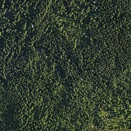 Satellite imagery of Dívčí Kameny, CZ