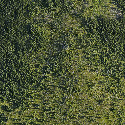 Satellite imagery of Dívčí Kameny, CZ