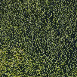 Satellite imagery of Dívčí Kameny, CZ