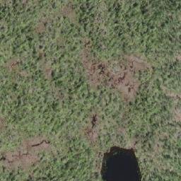 Satellite imagery of Shushartie Mountain, CA