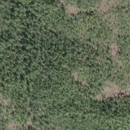 Satellite imagery of Shushartie Mountain, CA