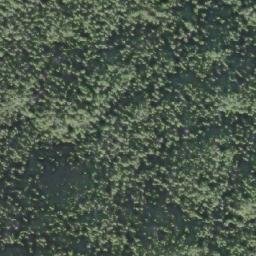 Satellite imagery of Frankham Point, CA