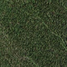 Satellite imagery of White Man Pass, CA