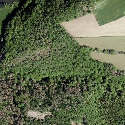Satellite imagery of Rodderberg, DE