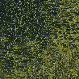 Satellite imagery of Dívčí Kameny, CZ