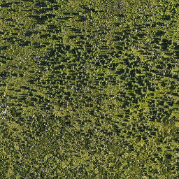 Satellite imagery of Dívčí Kameny, CZ