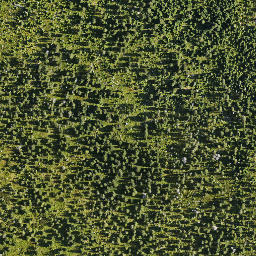 Satellite imagery of Dívčí Kameny, CZ