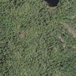 Satellite imagery of Shushartie Mountain, CA