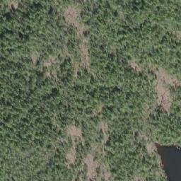 Satellite imagery of Shushartie Mountain, CA