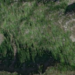 Satellite imagery of Hellebore Pass, CA