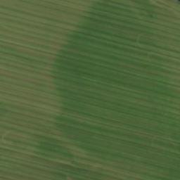 Satellite imagery of survey_point, CZ