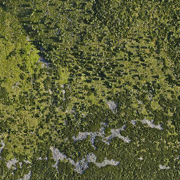 Satellite imagery of Dívčí Kameny, CZ