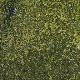 Satellite imagery of Dívčí Kameny, CZ