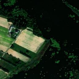 Satelita