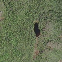 Satellite imagery of Shushartie Mountain, CA
