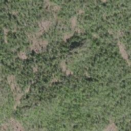 Satellite imagery of Shushartie Mountain, CA