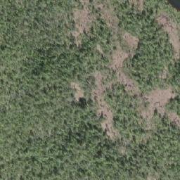 Satellite imagery of Shushartie Mountain, CA