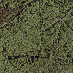 Satellite imagery of Schneisse, DE